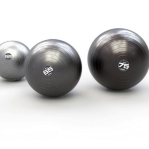 Steady Ball Pro 65 Cm - ESCAPE FITNESS